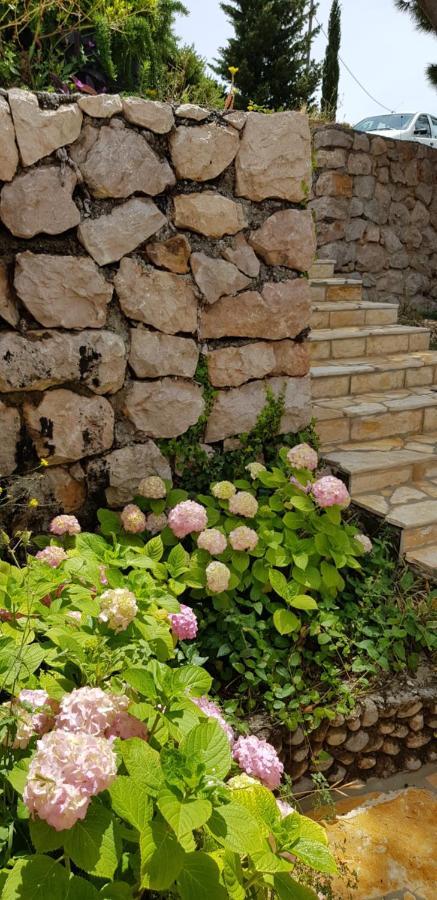 Kuca Za Odmor Jelena Villa Starigrad Paklenica Buitenkant foto