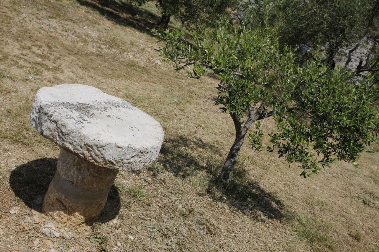 Kuca Za Odmor Jelena Villa Starigrad Paklenica Buitenkant foto